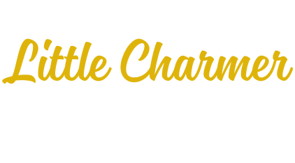 Little Charmer Curated Bag Charms